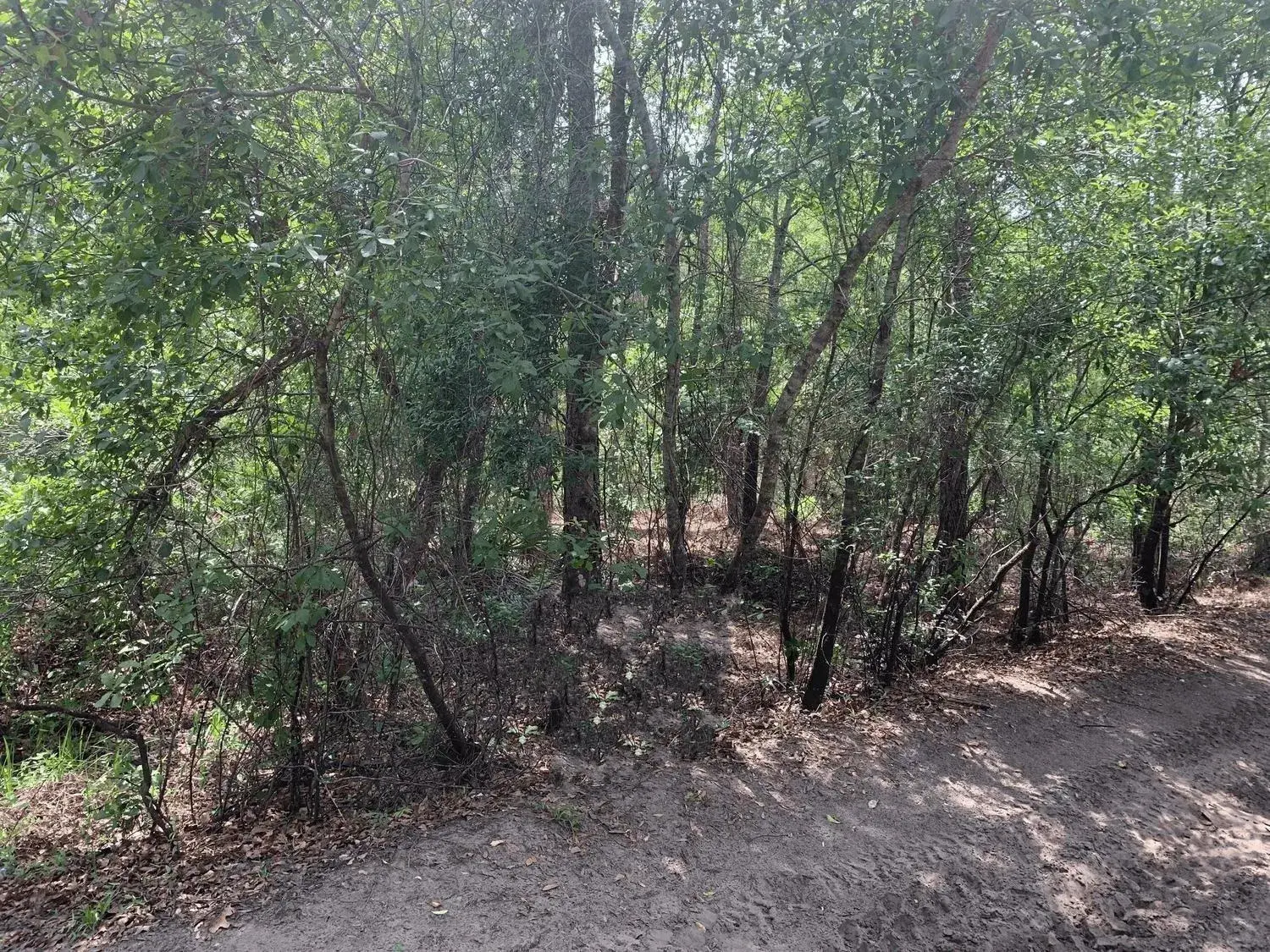 Land/Boat Docks for sale at 0 County Rd 54, FL 33849