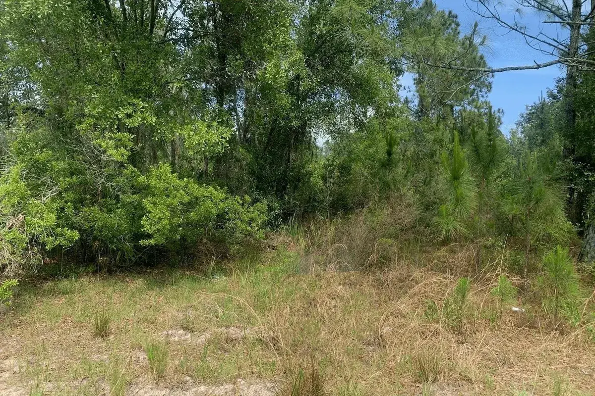 0 County Rd 54, FL 33849