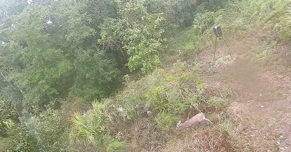 0 298th Street, Okeechobee FL 34972