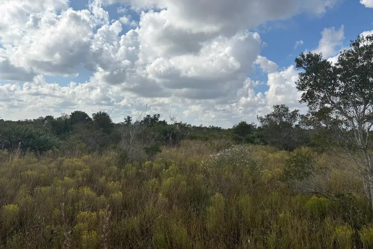 0 NW 314th Street, Okeechobee FL 34972