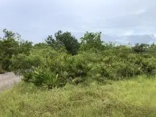 Land/Boat Docks for sale at 0 US Hwy 27, Lake Wales FL 33859