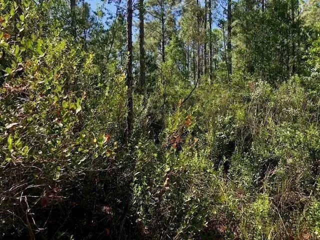 Land/Boat Docks for sale at 0 Old Grade Road, FL 33868