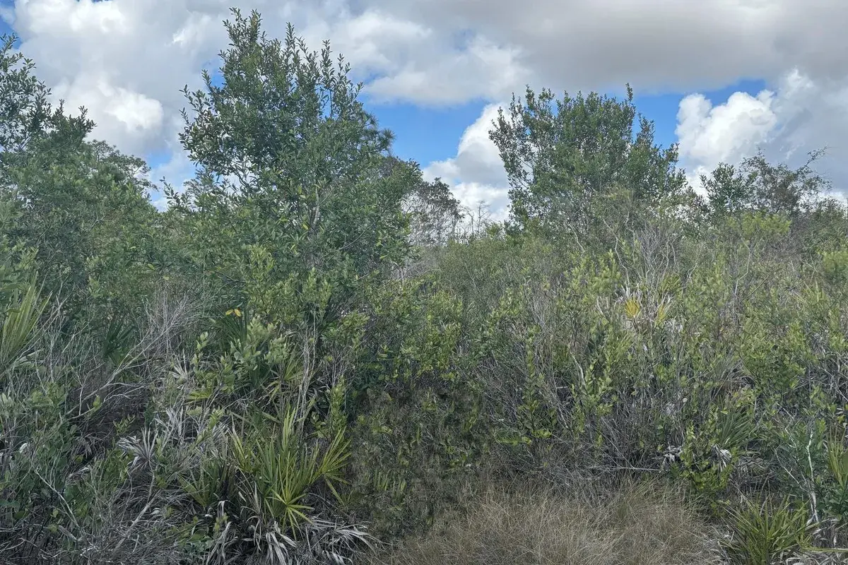 0 County Rd 54, FL 33849
