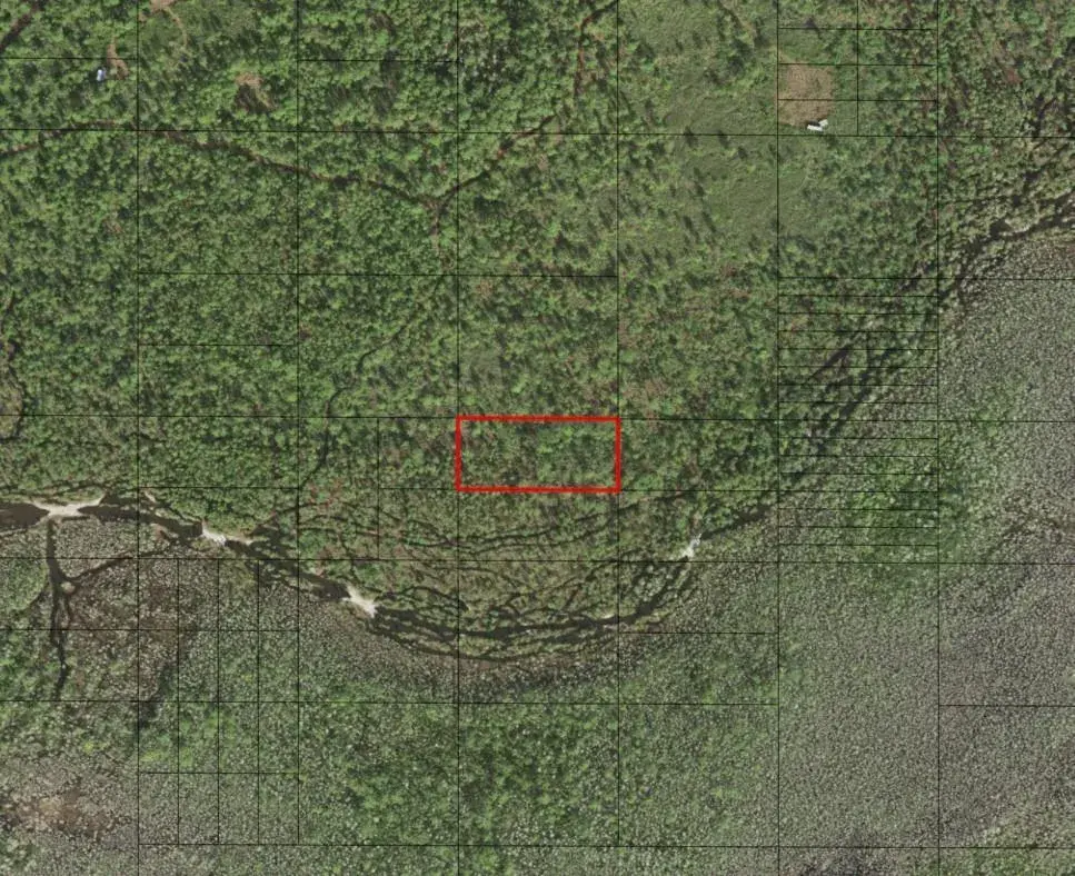 Land/Boat Docks for sale at 0 Holopaw Groves Road, FL 34772
