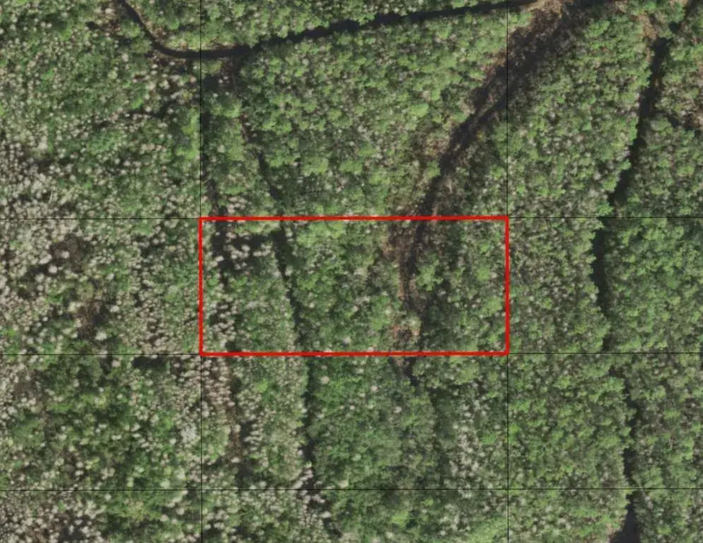 Land/Boat Docks for sale at 0 Holopaw Groves Road, FL 34772