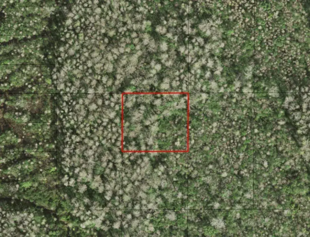Land/Boat Docks for sale at 0 Holopaw Groves Road, FL 34772