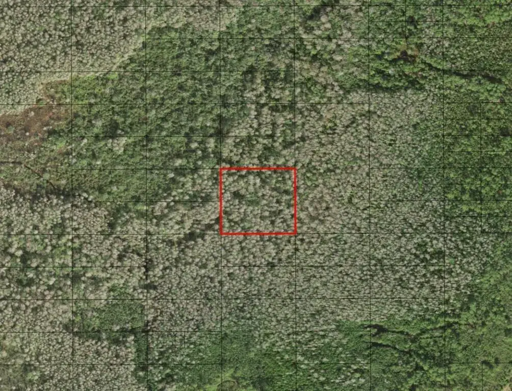 Land/Boat Docks for sale at 0 Holopaw Groves Road, FL 34772