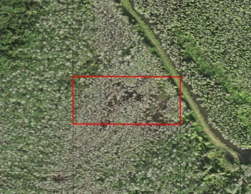 Land/Boat Docks for sale at 0 Holopaw Groves Road, FL 34772