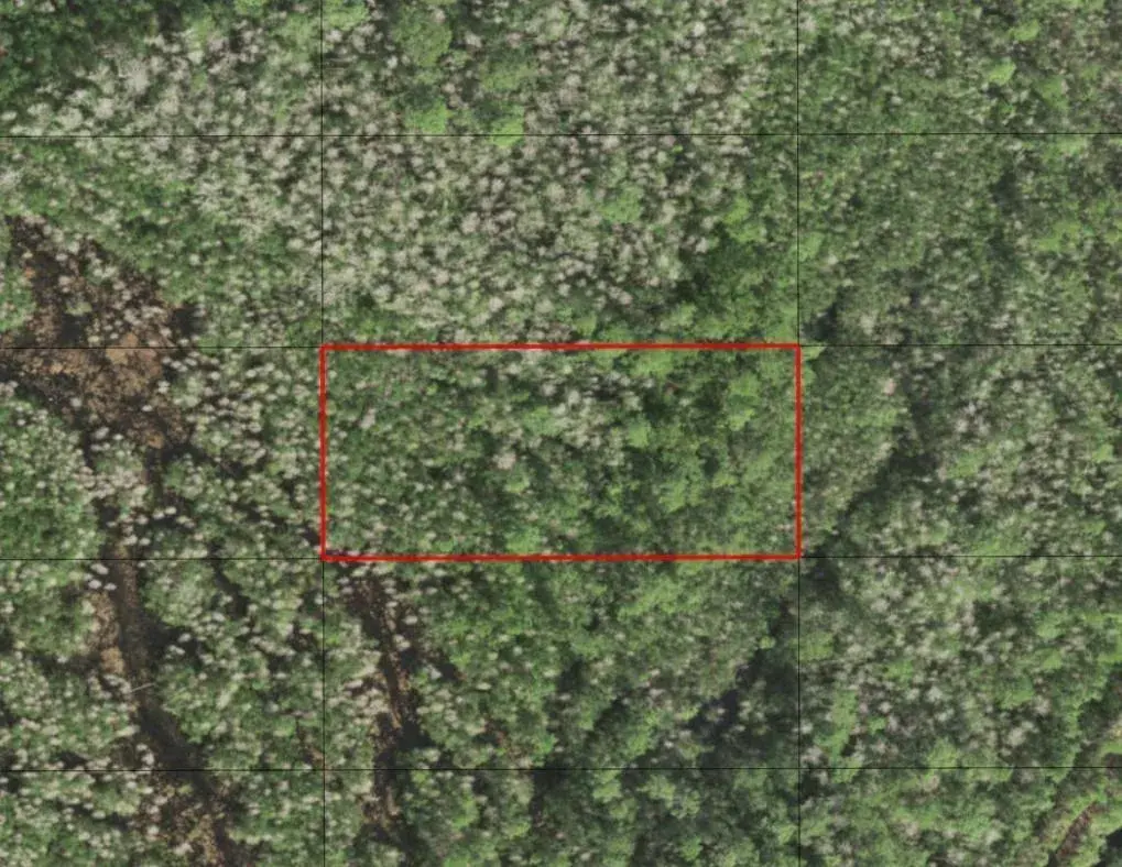 0 Holopaw Groves Road, FL 34772