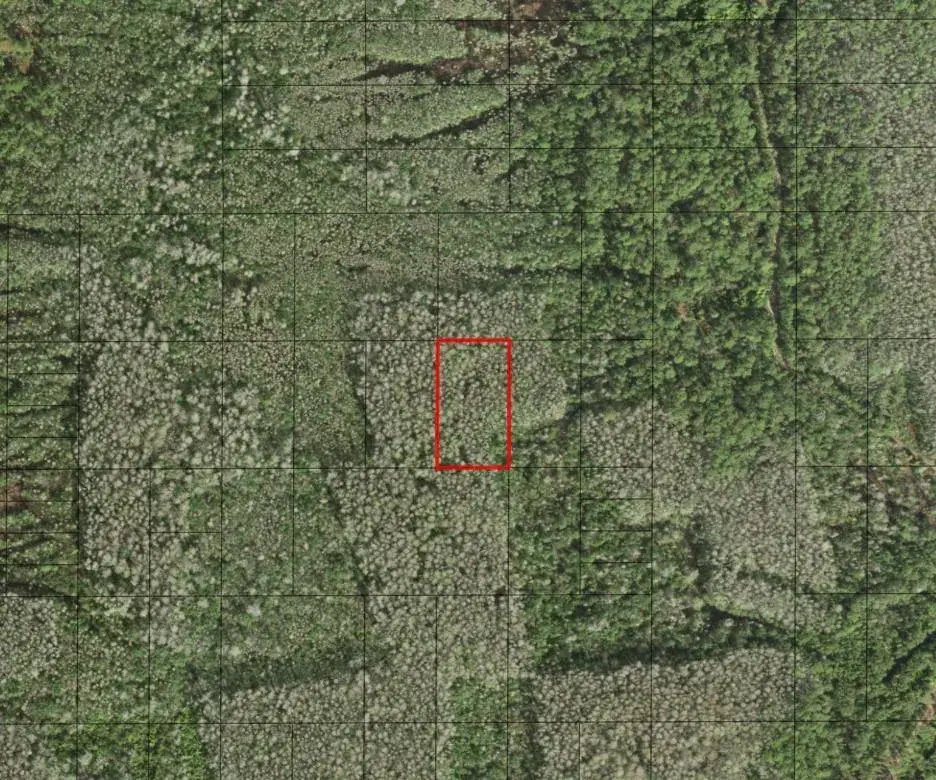 Land/Boat Docks for sale at 0 Holopaw Groves Road, FL 34772
