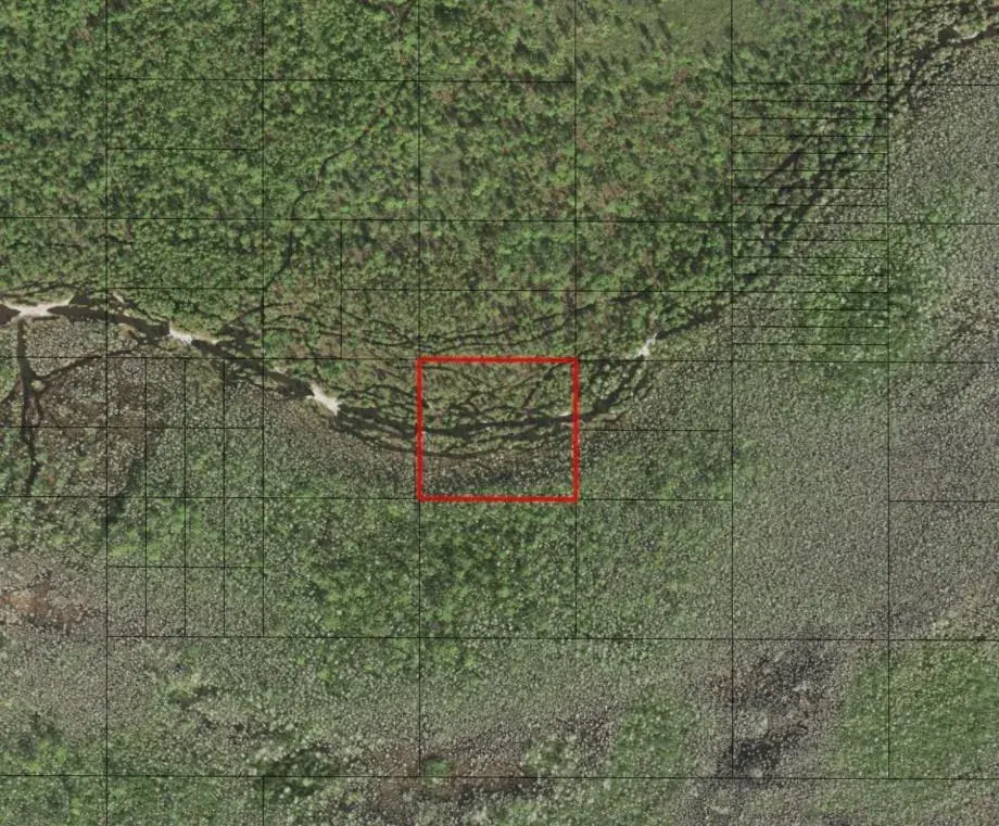 0 Holopaw Groves Road, FL 34772