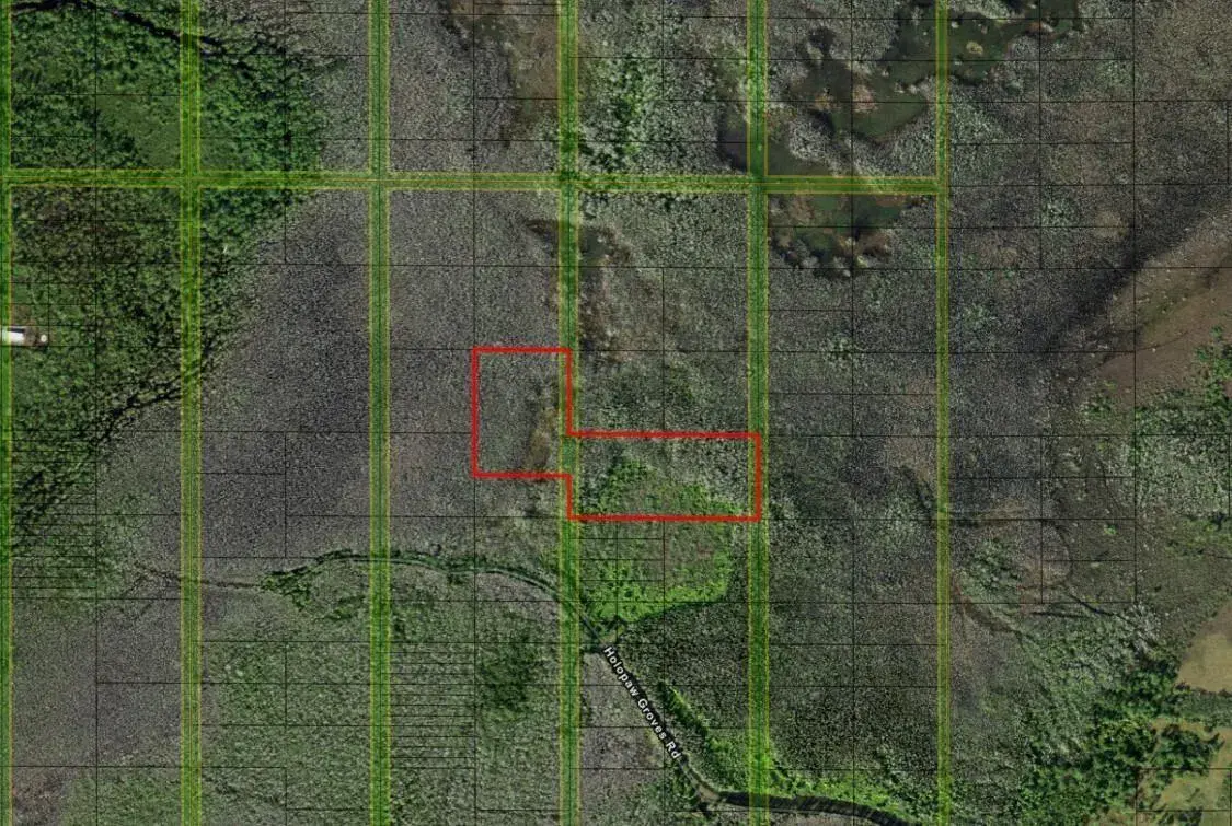 0 Holopaw Groves Road, FL 34772