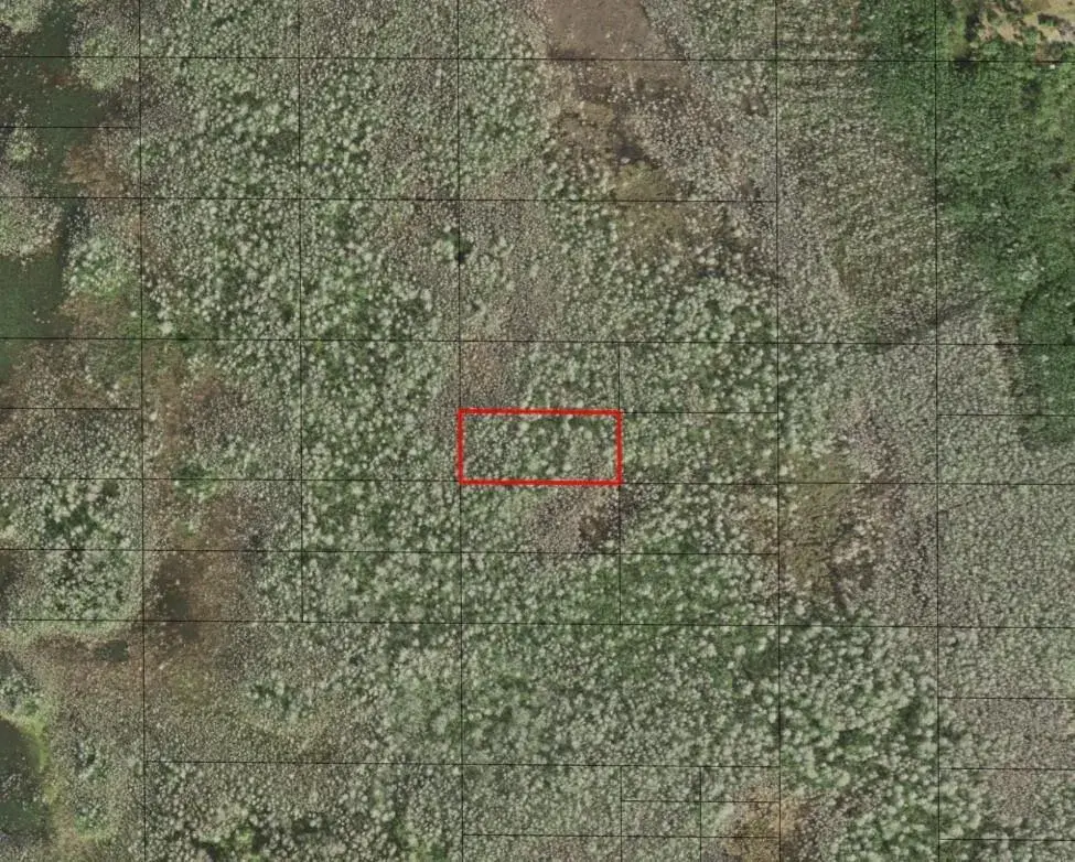 Land/Boat Docks for sale at 0 Holopaw Groves Road, FL 34772