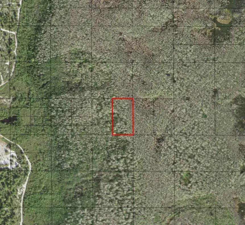 Land/Boat Docks for sale at 0 Holopaw Groves Road, FL 34772