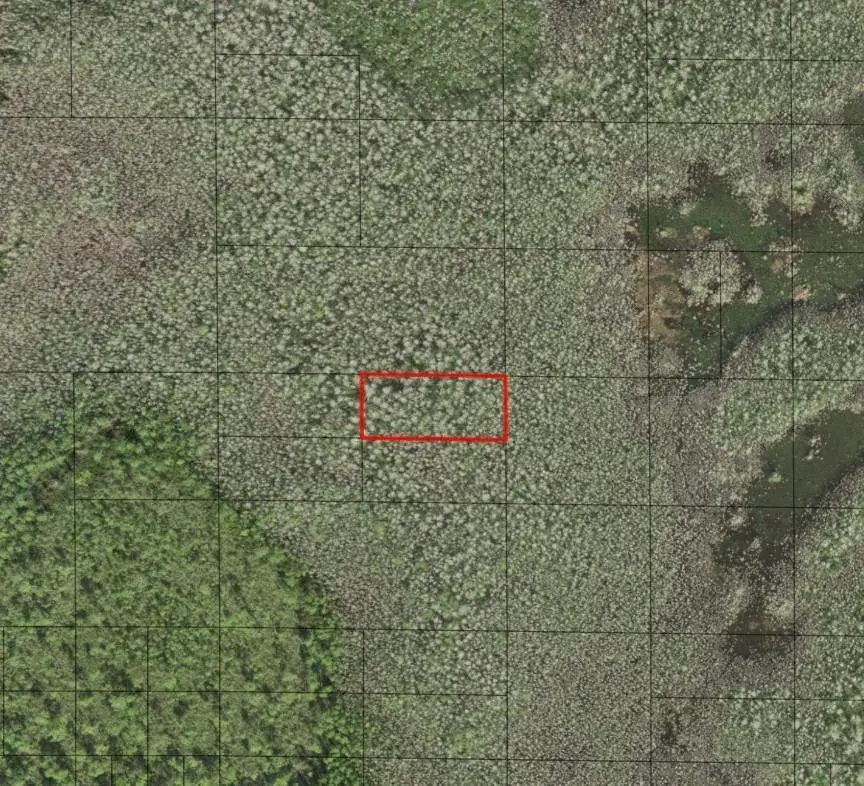 Land/Boat Docks for sale at 0 Holopaw Groves Road, FL 34772