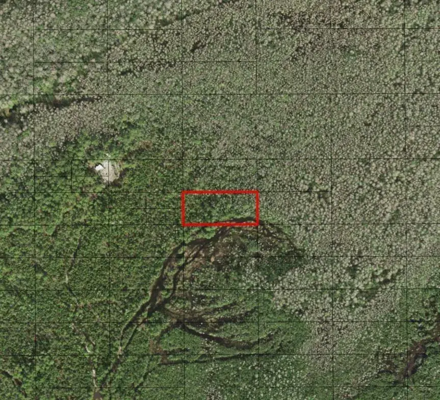 Land/Boat Docks for sale at 0 Holopaw Groves Road, FL 34772
