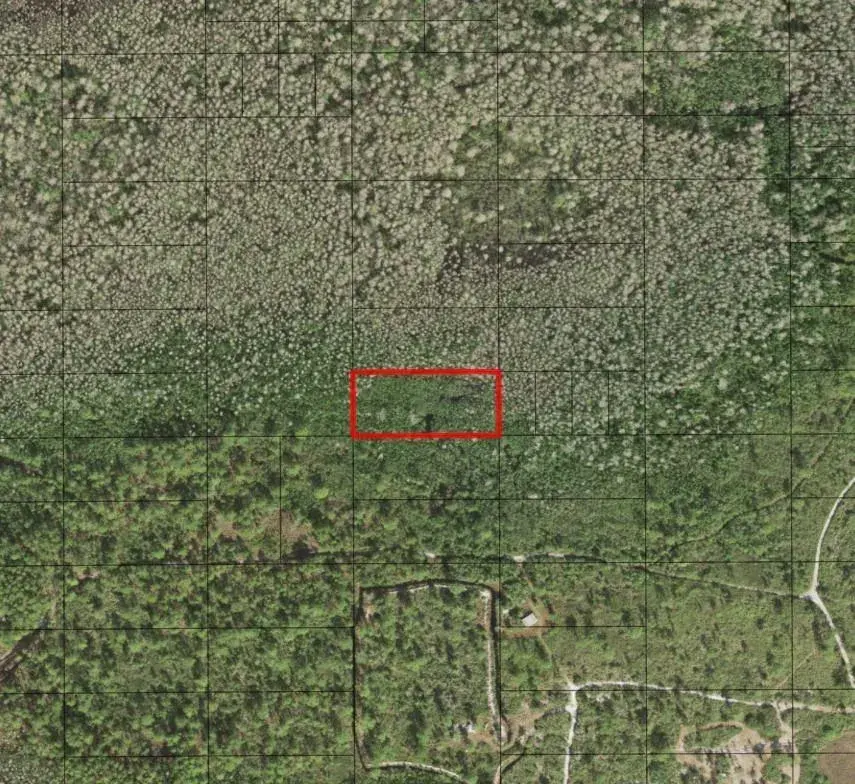 0 Holopaw Groves Road, FL 34772