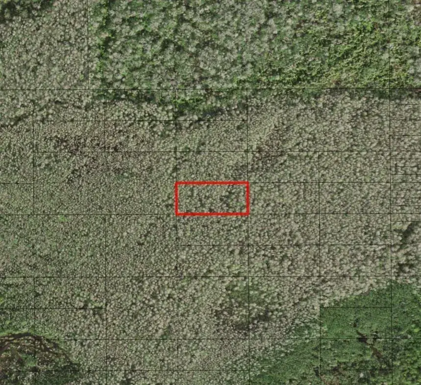 0 Holopaw Groves Road, FL 34772