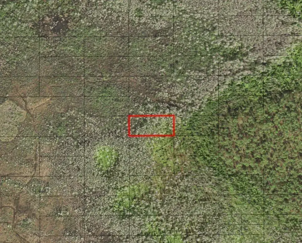 Land/Boat Docks for sale at 0 Holopaw Groves Road, FL 34772