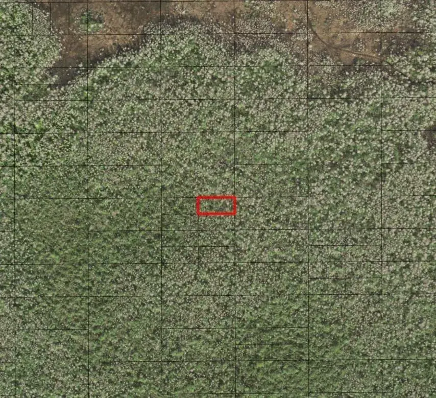 Land/Boat Docks for sale at 0 Holopaw Groves Road, FL 34772