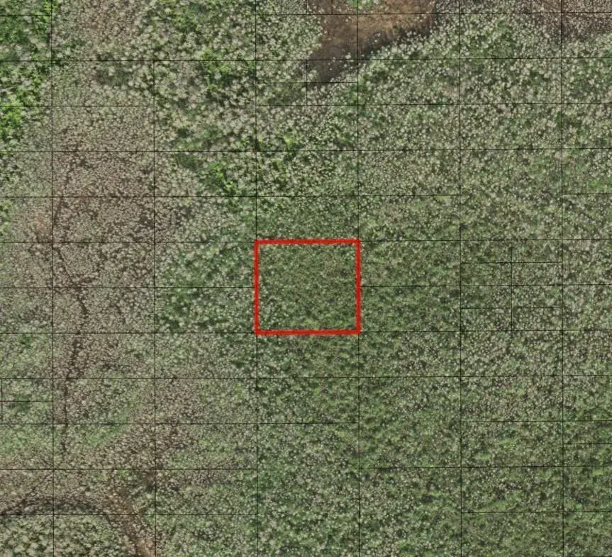 0 Holopaw Groves Road, FL 34772
