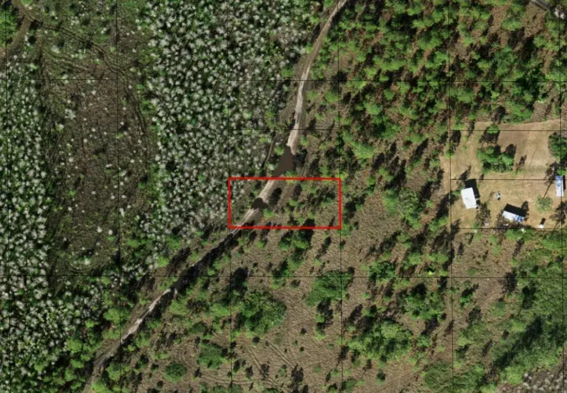 Land/Boat Docks for sale at 0 Holopaw Groves Road, FL 34772