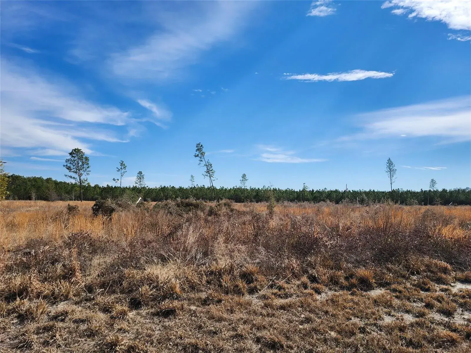 Land/Boat Docks for sale at Lot 50 Fl-50, FL 32060