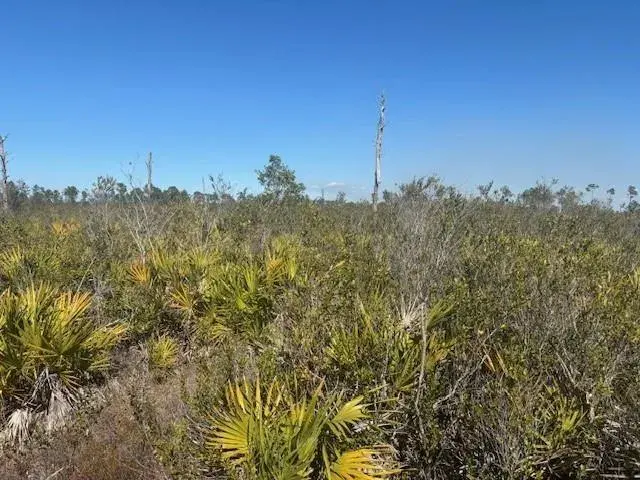 0 Hwy 630e, Frostproof FL 33843