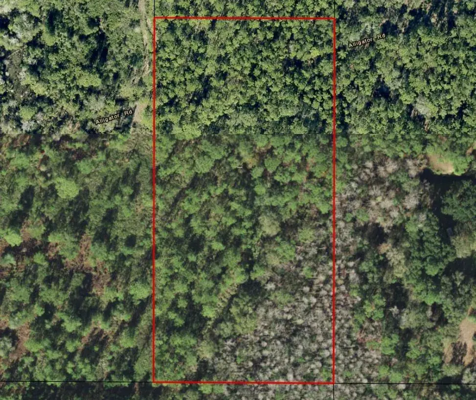 0 Alligator Road, Clermont FL 33868