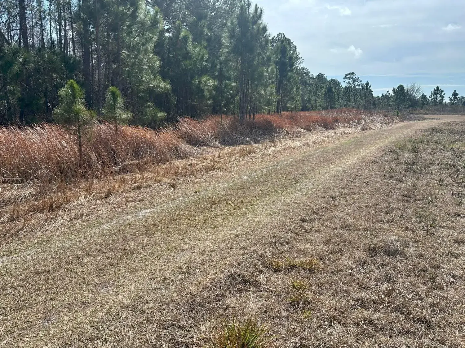 0 Old Grade Road, FL 33868
