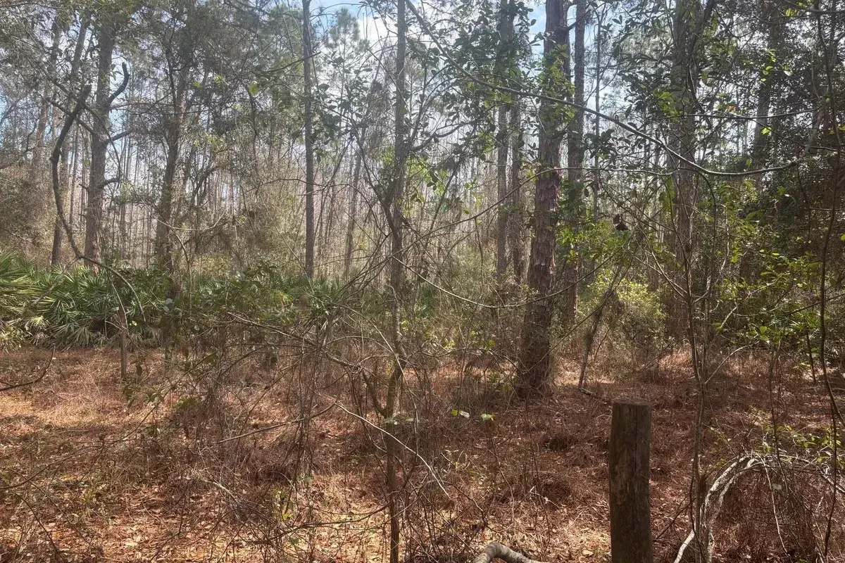 0 Old Grade Road, FL 33868