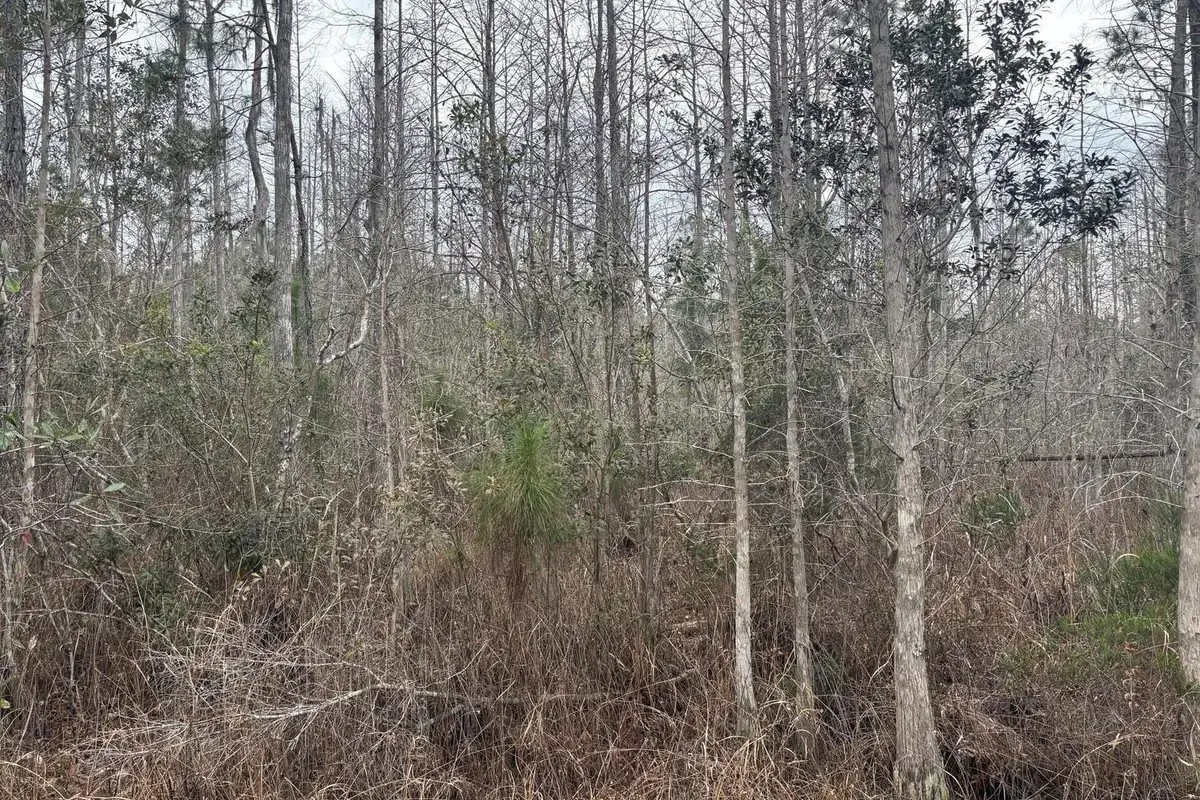 0 Old Grade Road, FL 33868
