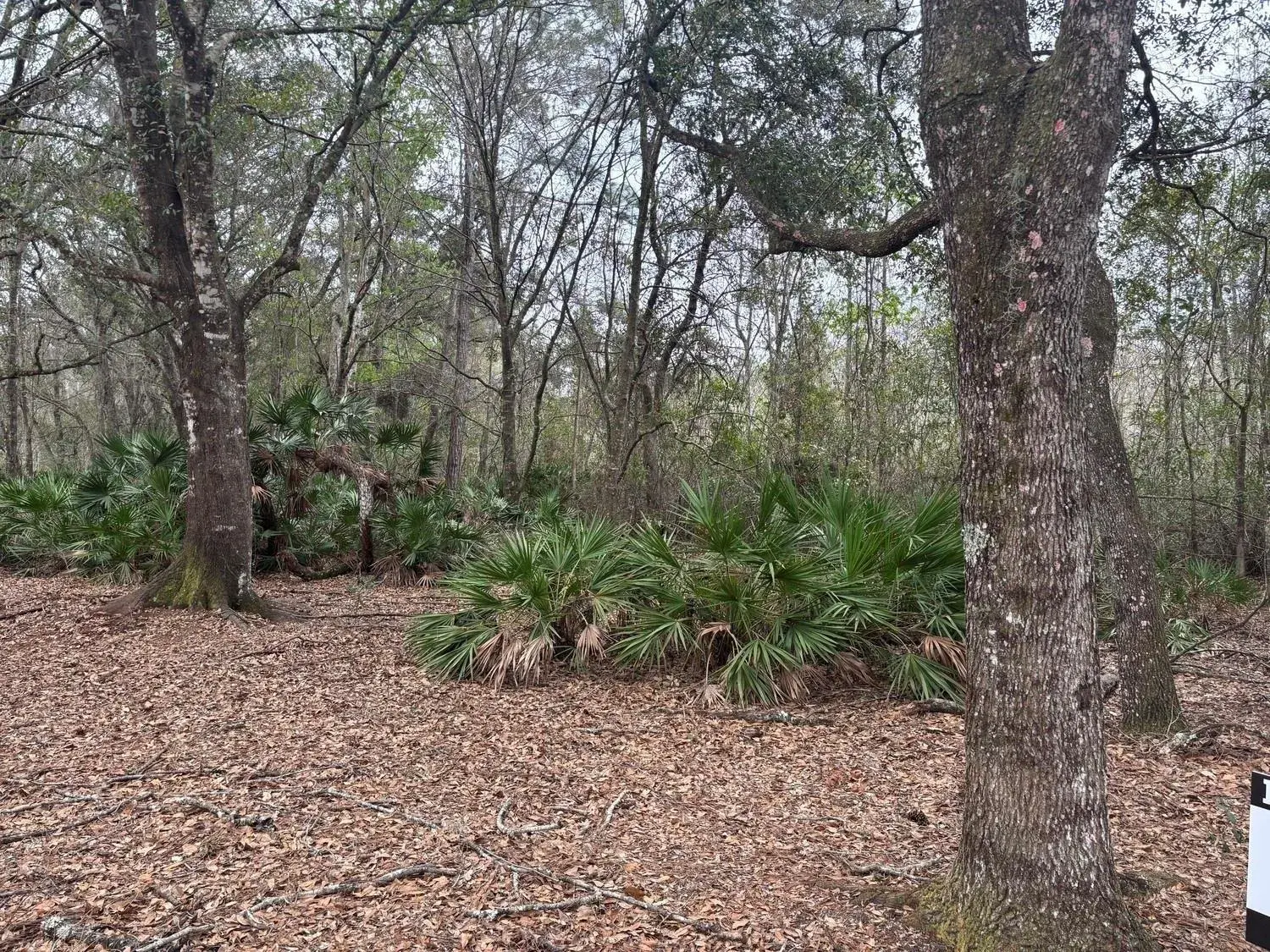 0 Old Grade Road, FL 33868