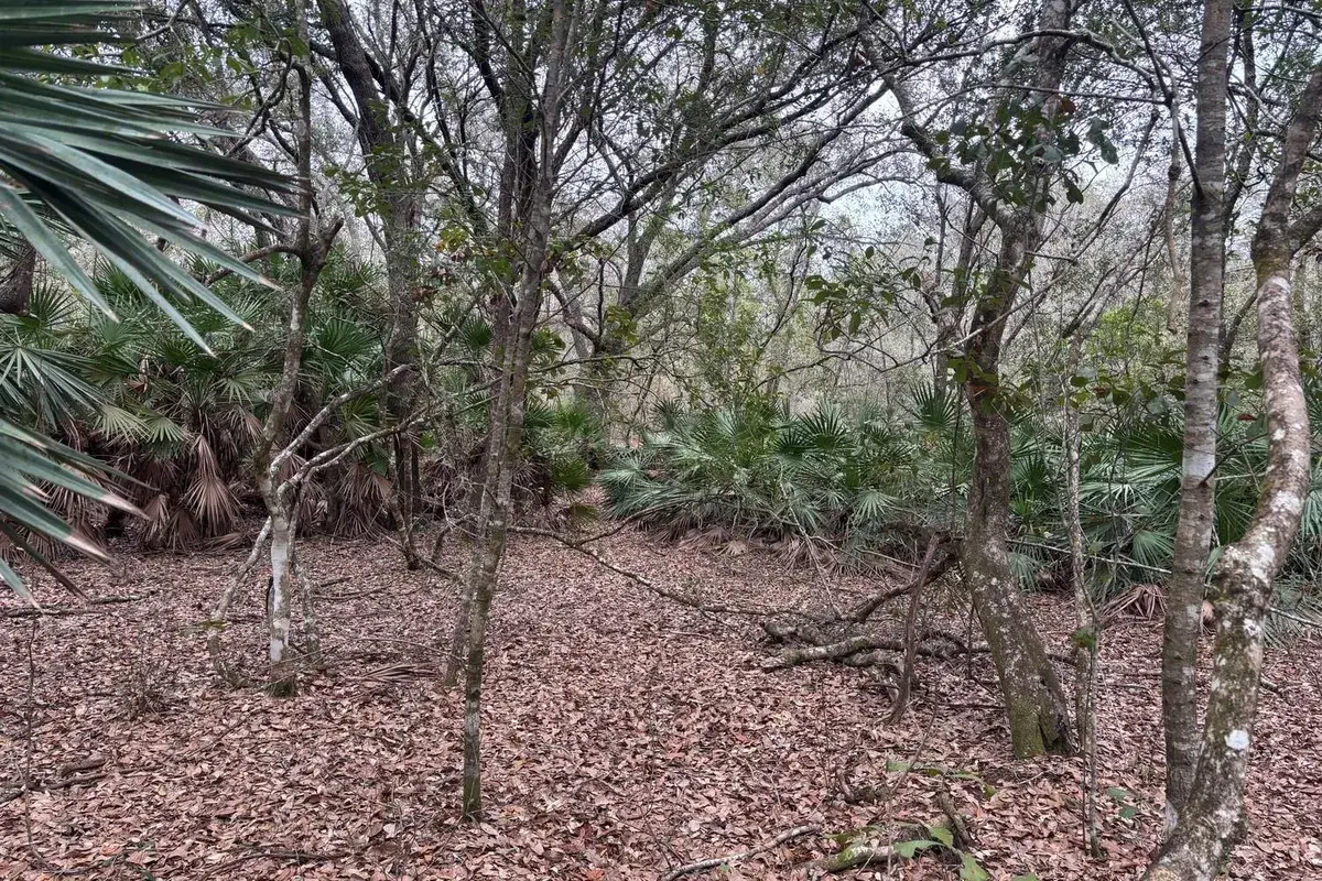 0 Old Grade Road, FL 33868