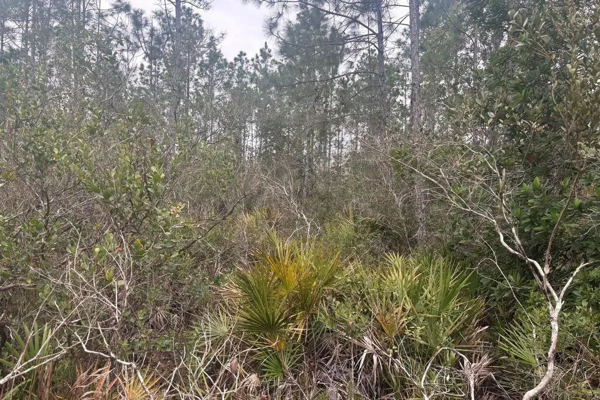 0 Old Grade Road, FL 33868