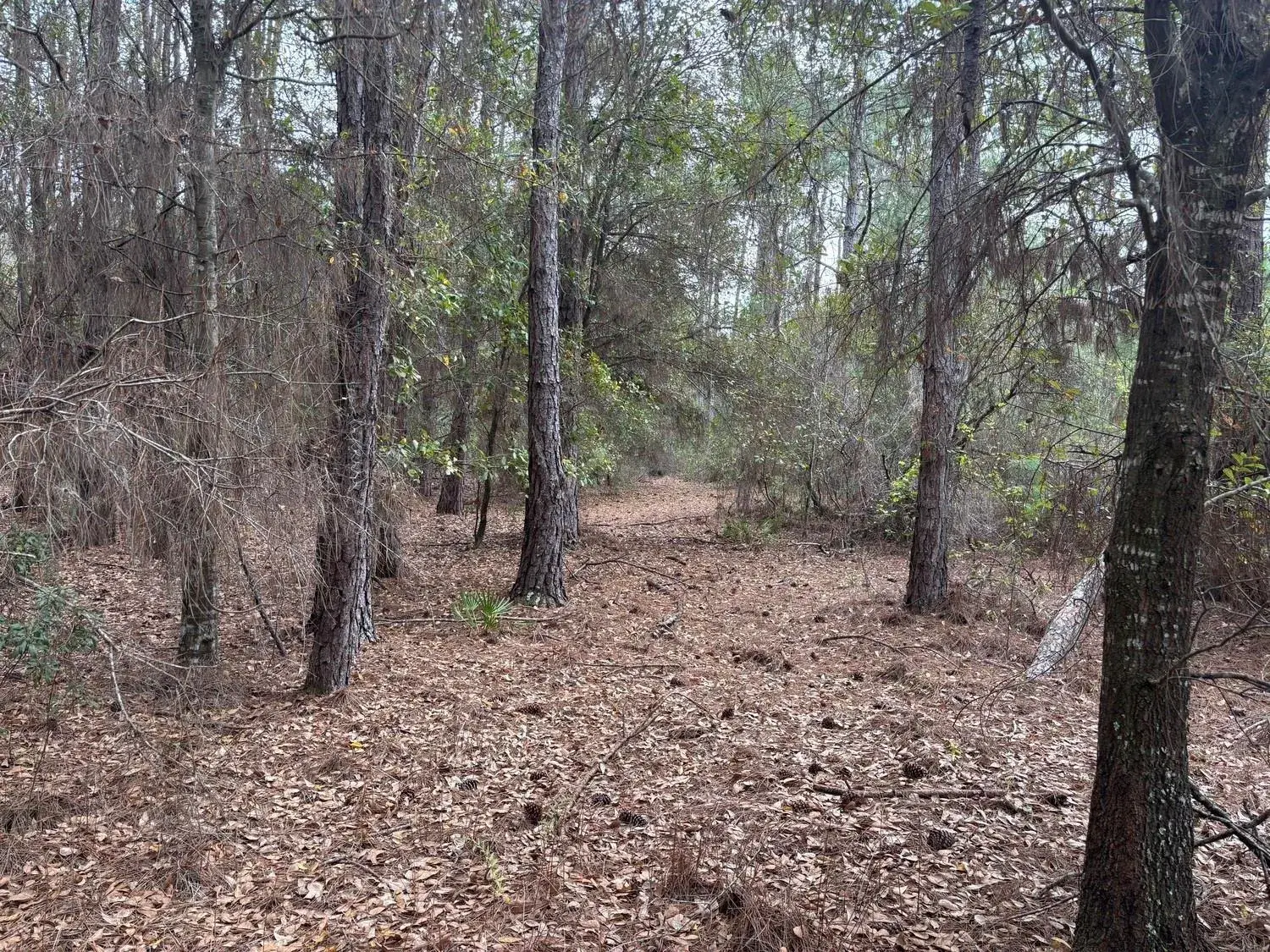 0 Old Grade Road, FL 33868