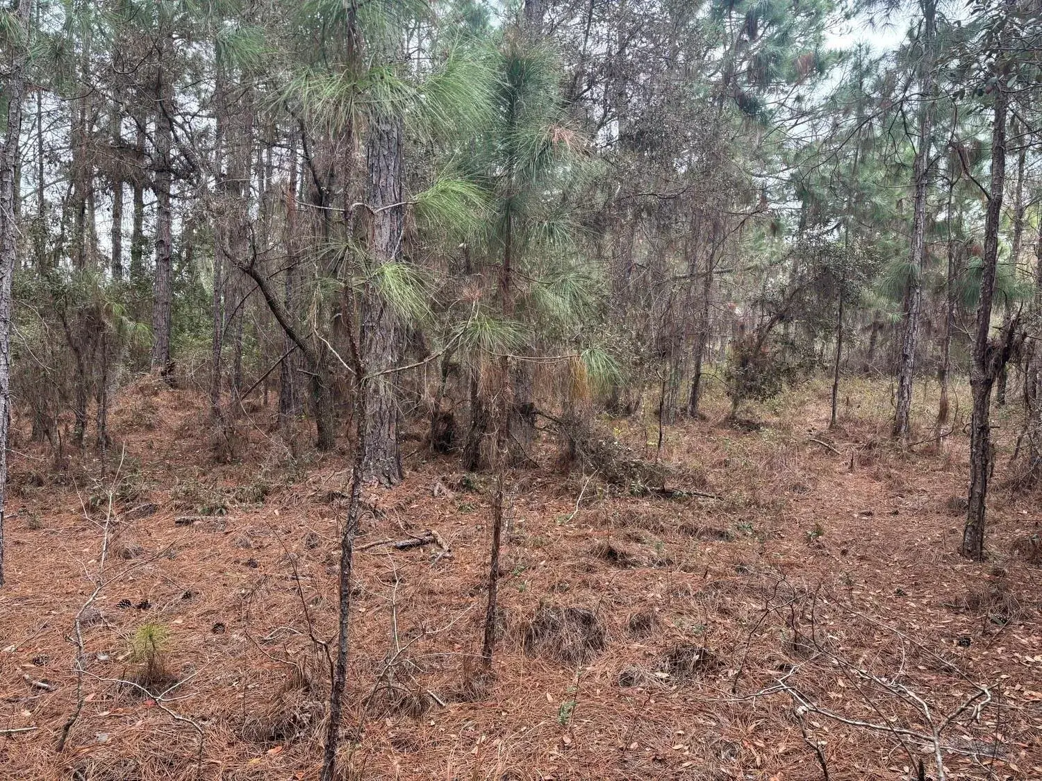0 Old Grade Road, FL 33868