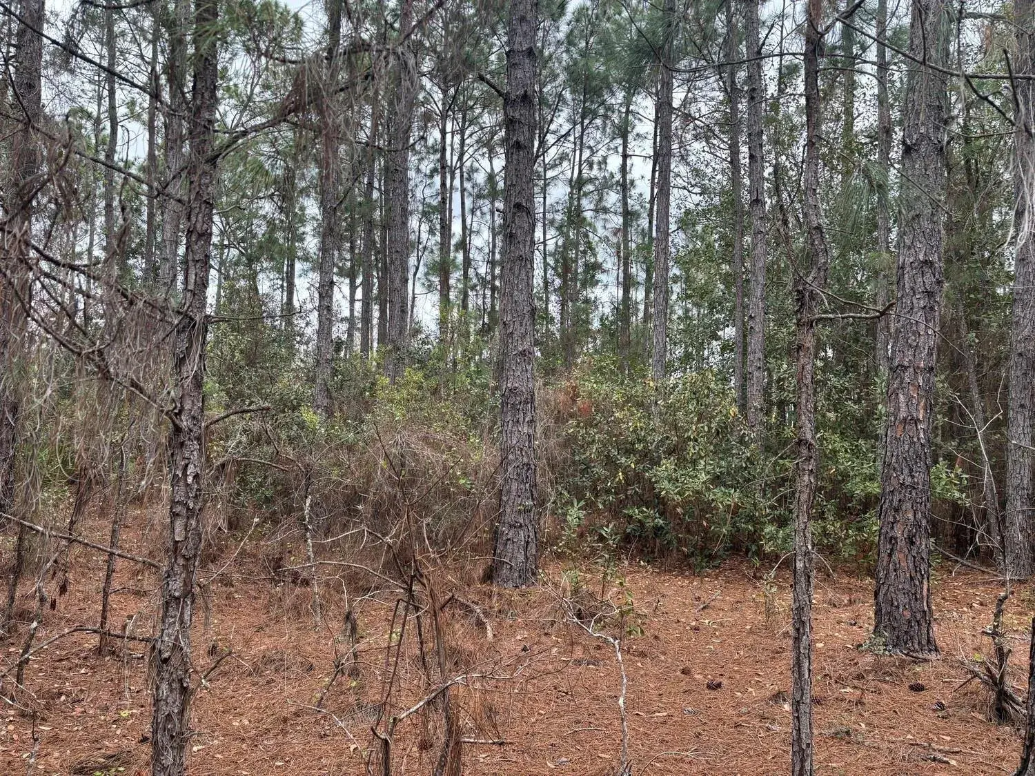 0 Old Grade Road, FL 33868