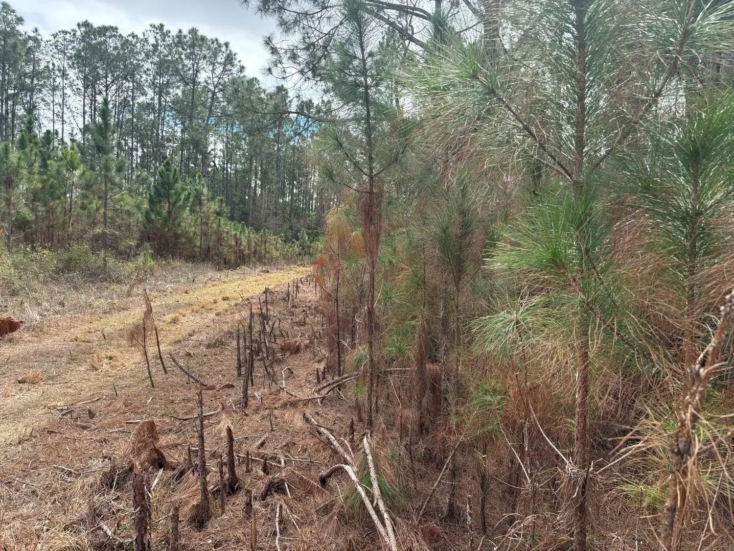 0 Old Grade Road, FL 33868