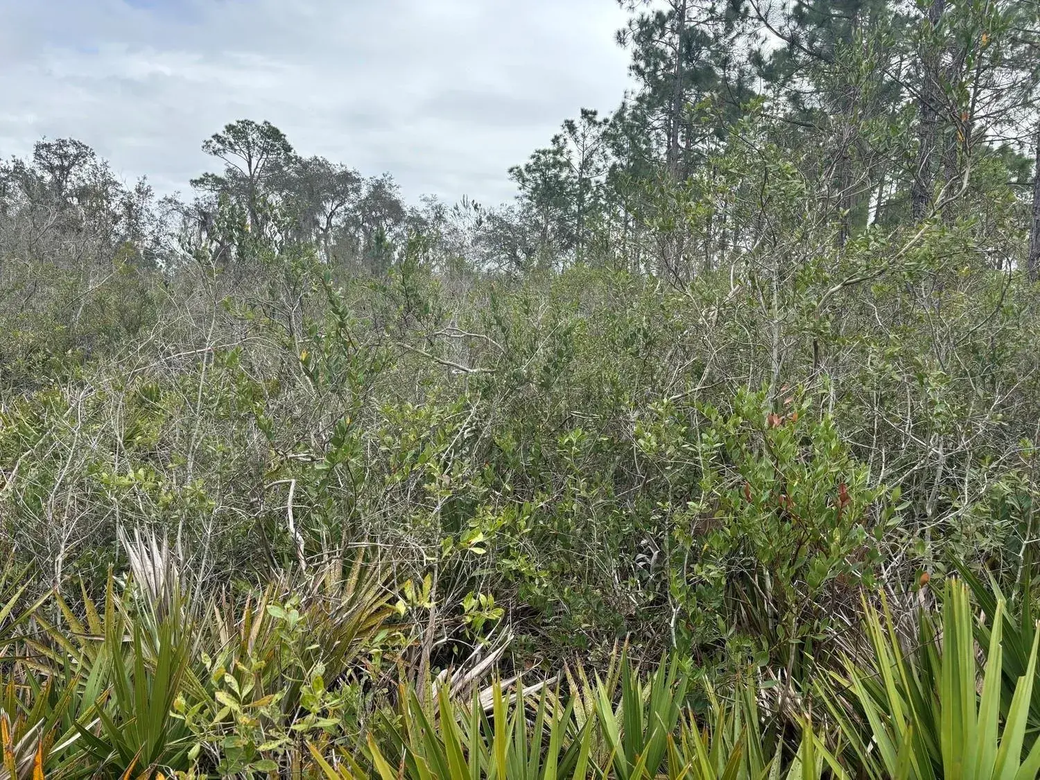 0 Old Grade Road, FL 33868