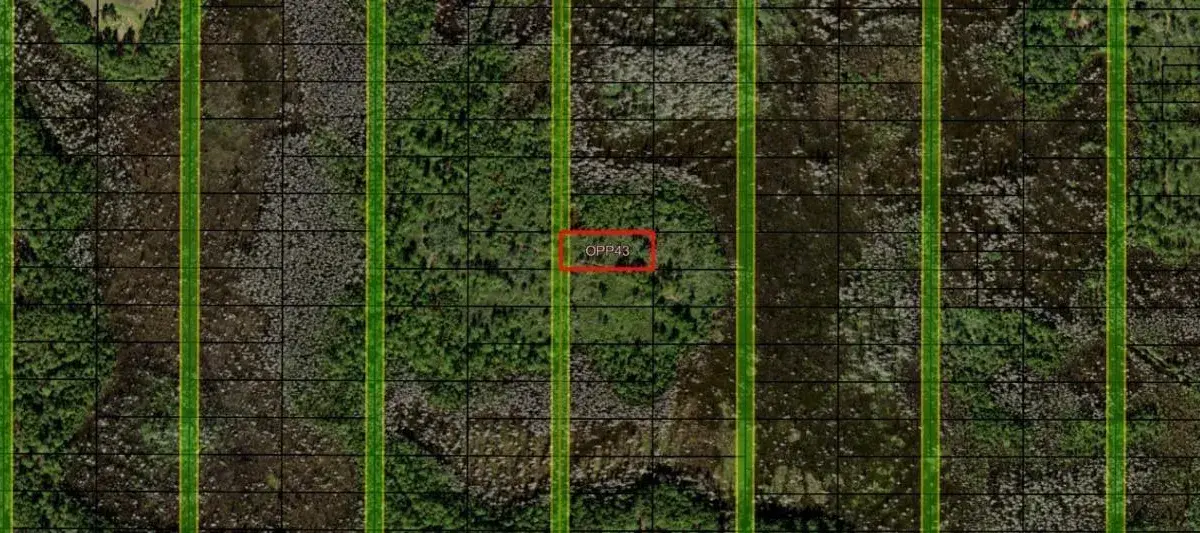 0 Old Grade Road, FL 33868