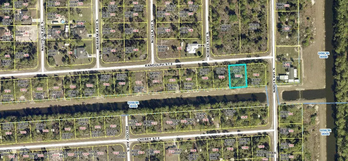 1244 Randolph Street, Lehigh Acres FL 33974
