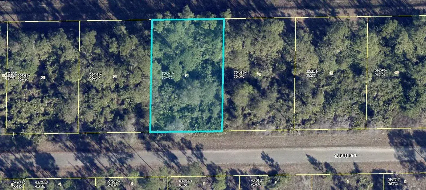 for sale at 1113 Capri Street E, Lehigh Acres FL 33974