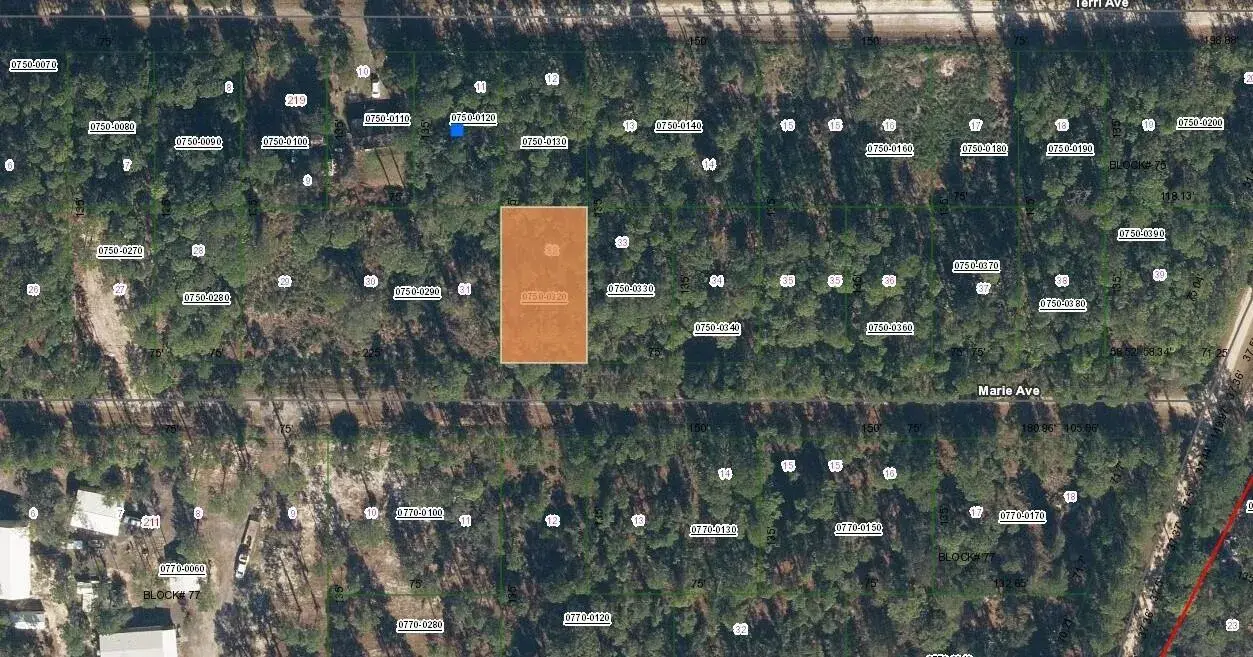 222 Marie Avenue, FL 32139