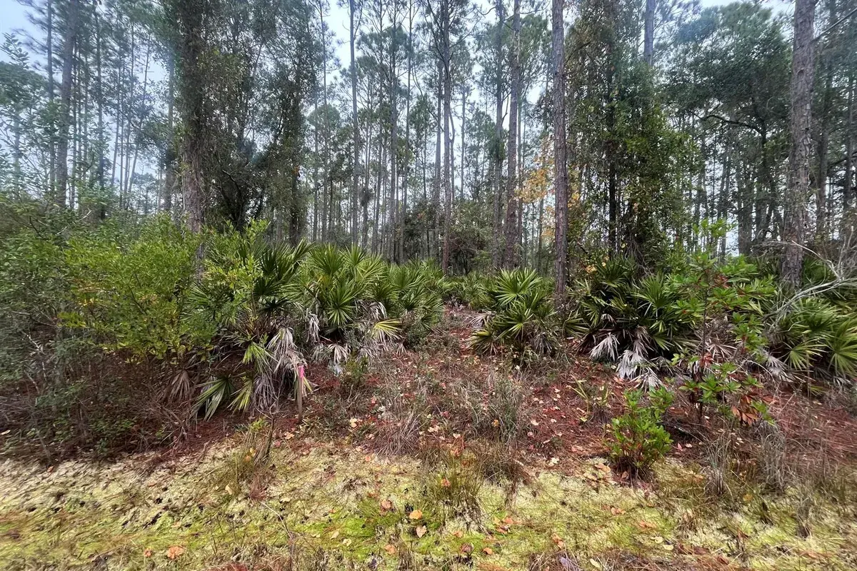 222 Marie Avenue, FL 32139