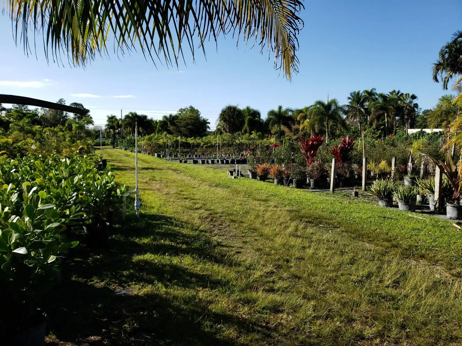14375 Okeechobee Boulevard, FL 33470