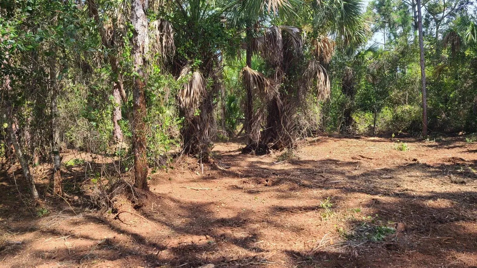 5375 69th Street, Vero Beach FL 32967
