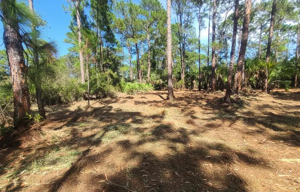 5375 69th Street, Vero Beach FL 32967