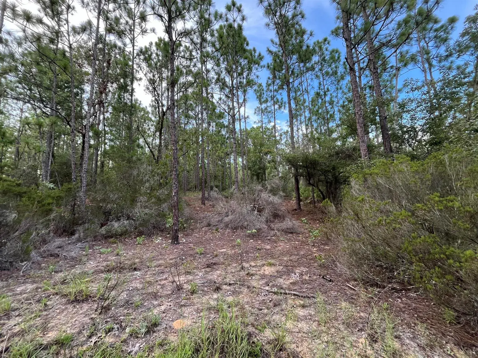 Land/Boat Docks for sale at 124 New York Avenue, FL 32148