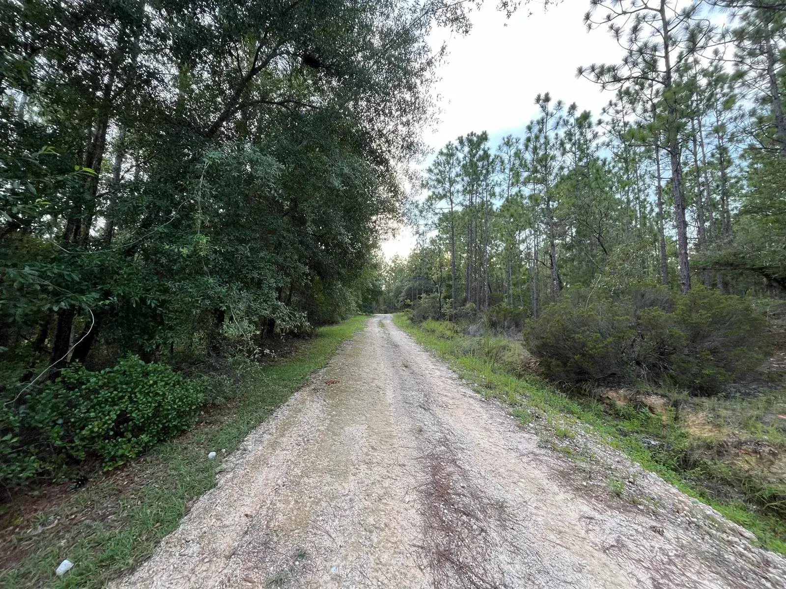124 New York Avenue, FL 32148